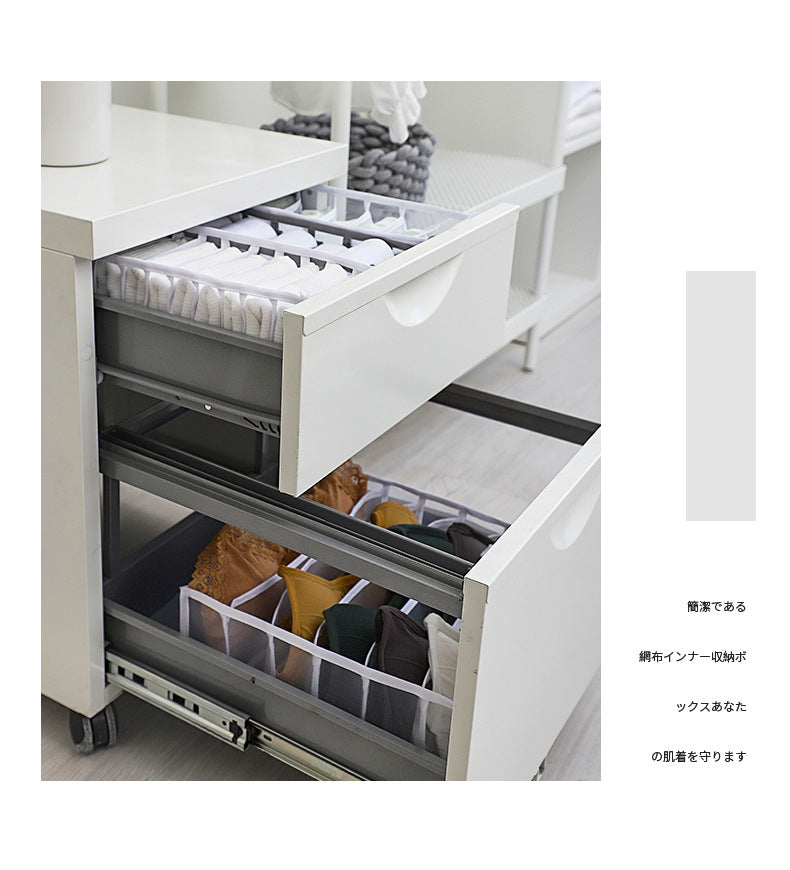 Photo displaying multi-compartment sock and lingerie organizer