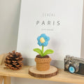B Style Sky Blue Puff Flower Potted Plant