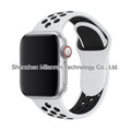 24 white with black