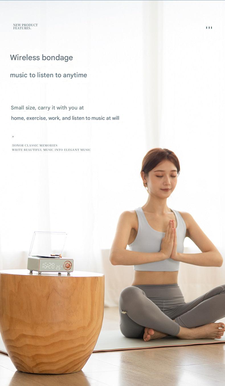 Bluetooth Speaker accessories