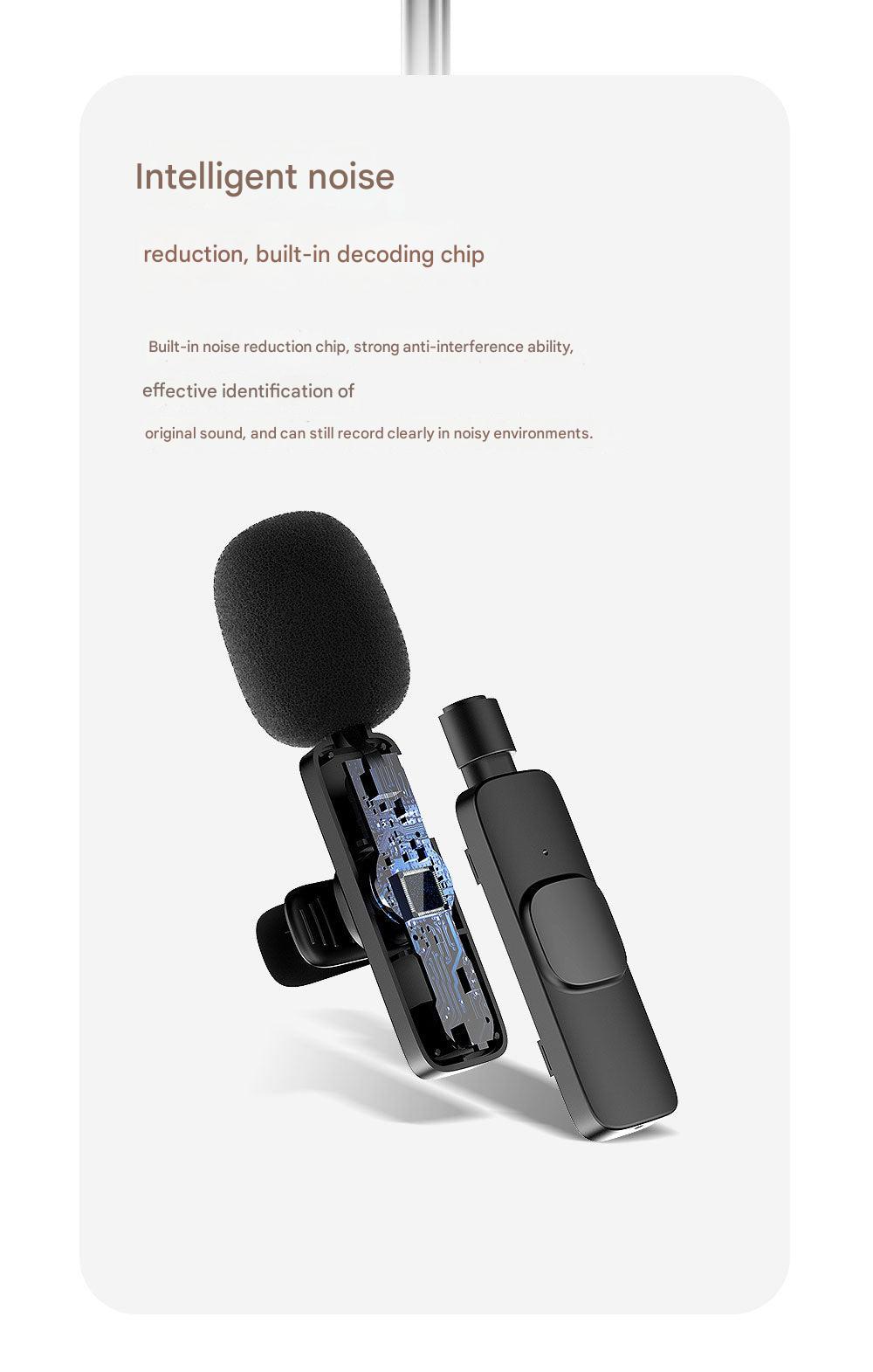 Lightweight clip on mic for interviews