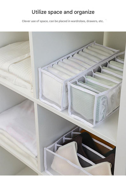 Photo displaying multi-compartment sock and lingerie organizer