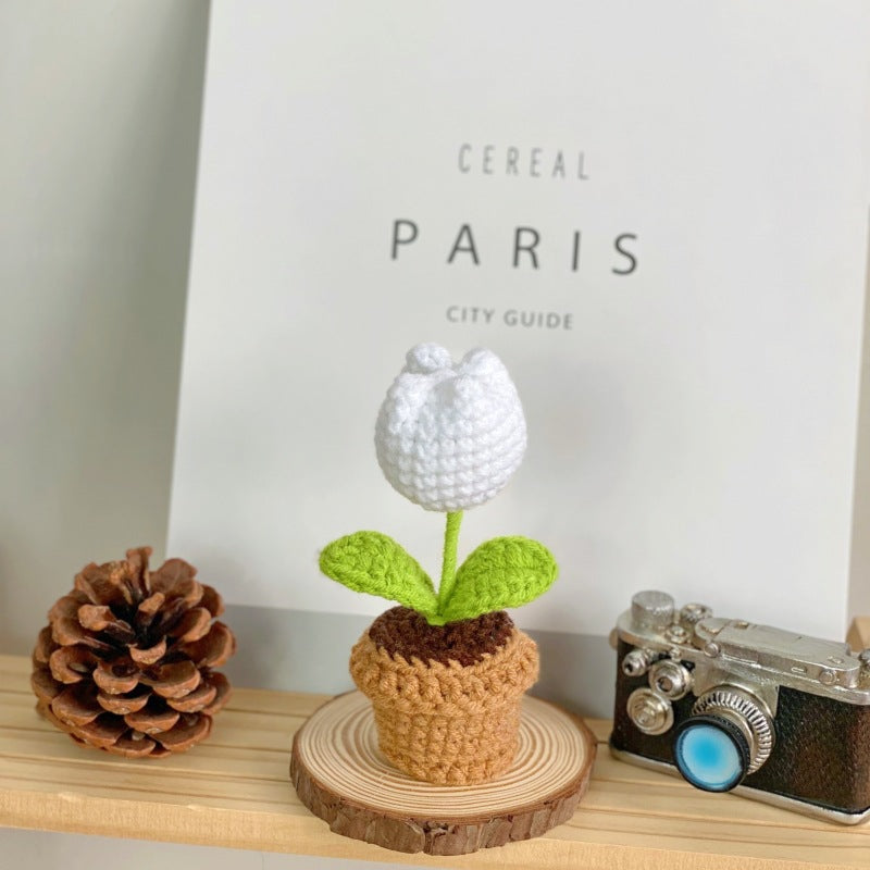 Textured green succulent display