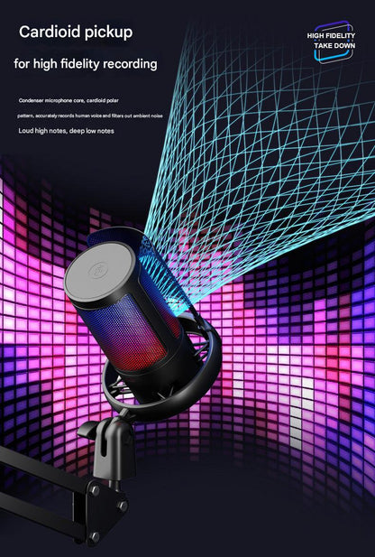 Close-up of heart-shaped pickup pattern microphone
