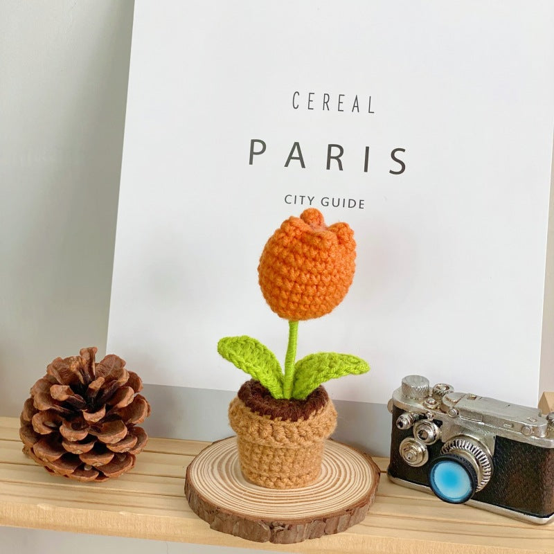 Creative home decor succulent arrangement