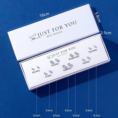 Cute S925 Silver Jewelry for Women