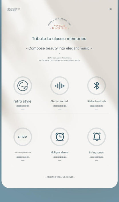 Bluetooth Speaker accessories