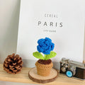 B Style Blue Rose Potted Plant