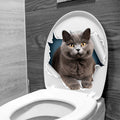 CH33268 Little Blue Cat